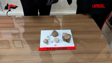 Pompei, ruba reperti archeologici: i carabinieri recuperano la refurtiva