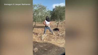 Cisgiordania, coloni israeliani prendono a bastonate una donna anziana palestinese