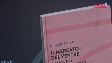 Gestazione per altri, esce il libro del giudice Cricenti 'Il mercato del ventre'