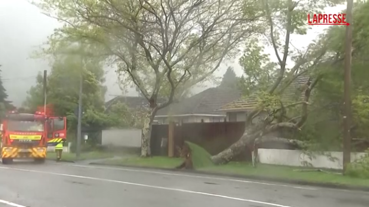 Nuova Zelanda, raffiche di vento causano il blocco dei voli e dei trasporti stradali