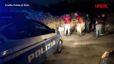 Caserta, blitz e denuncia contro un bracconiere: liberati 22 cardellini