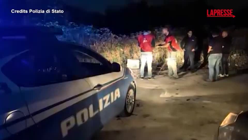 Caserta, blitz e denuncia contro un bracconiere: liberati 22 cardellini Caserta, blitz e denuncia contro un bracconiere: liberati 22 cardellini