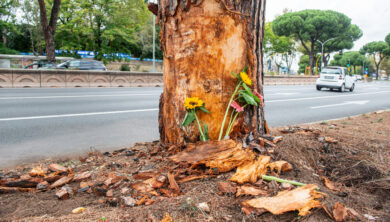 Incidente Roma, il papà dell’amica di Beatrice Bellucci: “L’ha vista morire”. Resta in prognosi riservata