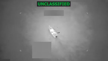 usa annunciano tre raid nel pacifico contro barche narcos 14 morti da Lapresse.it usa annunciano tre raid nel pacifico contro barche narcos 14 morti