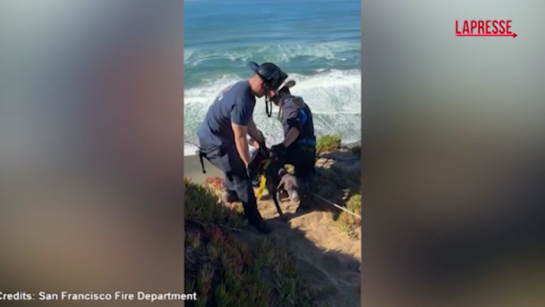San Francisco, cane rimane bloccato su una scogliera: le immagini del salvataggio