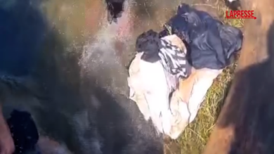 Cuba, la devastazione dell'uragano Melissa: offerta di aiuto dagli Usa