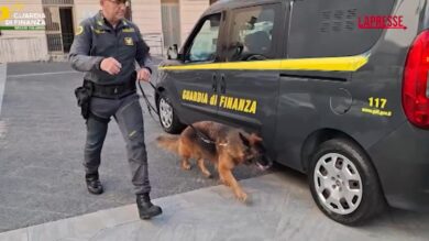 Reggio Calabria, arrestato corriere a Villa San Giovanni con 7 chili di droga