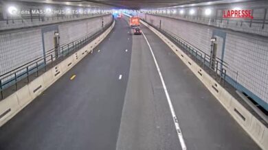 Boston, un cane si 'avventura' in un tunnel all'ora di punta: il video del salvataggio della polizia
