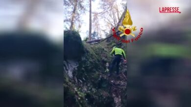 Udine, vigili del fuoco recuperano una vitellina caduta in una forra