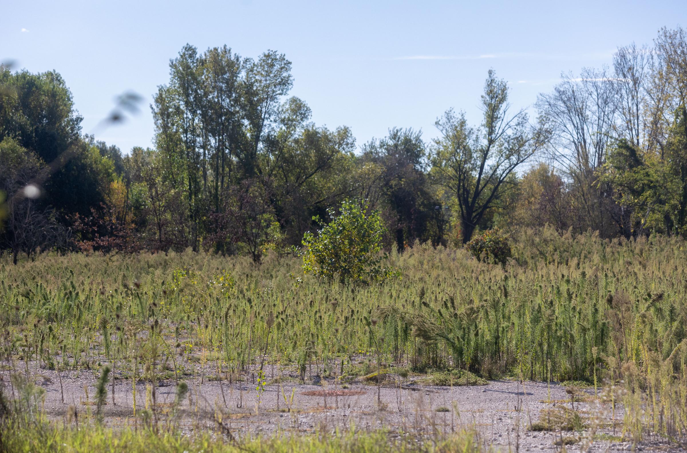 Cacciatore stroncato da un malore in Trentino: il cane lo veglia per due giorni