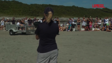Usa, la tartaruga marina Swim Shady ritorna nell'Oceano Atlantico