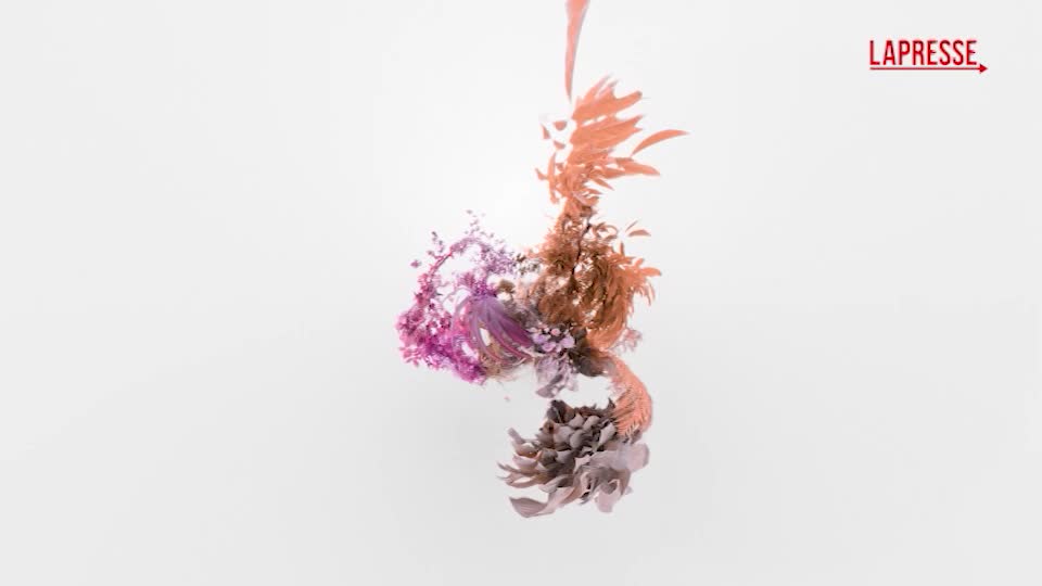 Pirelli, The Cal 2026: il 3D e 11 donne per raccontare il legame con la natura