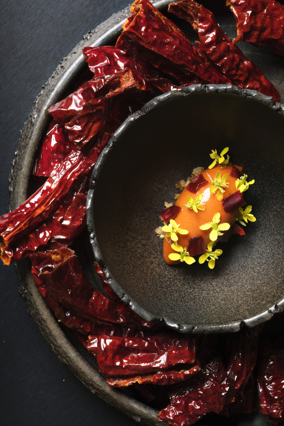 Guida Michelin 2026, ecco le nuove stelle