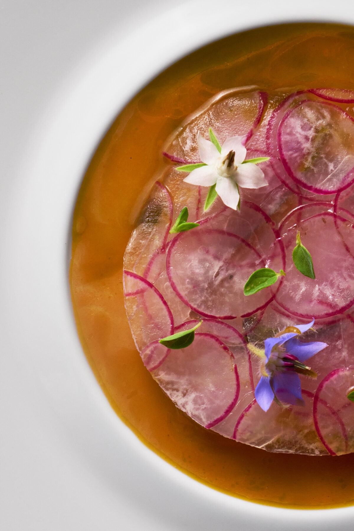 Guida Michelin 2026, ecco le nuove stelle