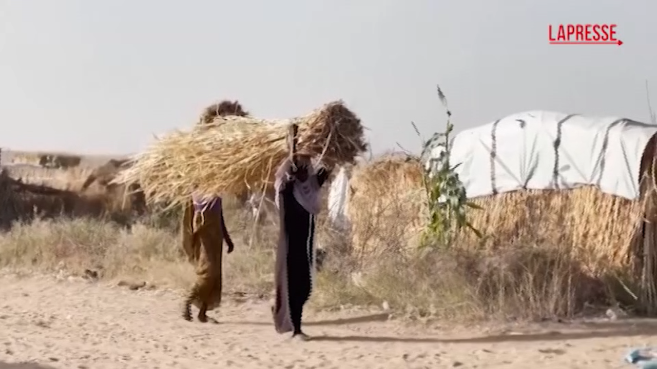 Sudan, in migliaia in fuga da el Fasher per scampare alla guerra