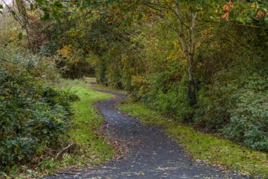 Famiglia vive nel bosco senza luce e acqua, il giudice allontana i 3 figli. L’avvocato: “Faremo ricorso”