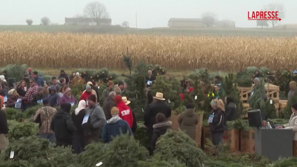 Usa, 50.000 alberi messi all