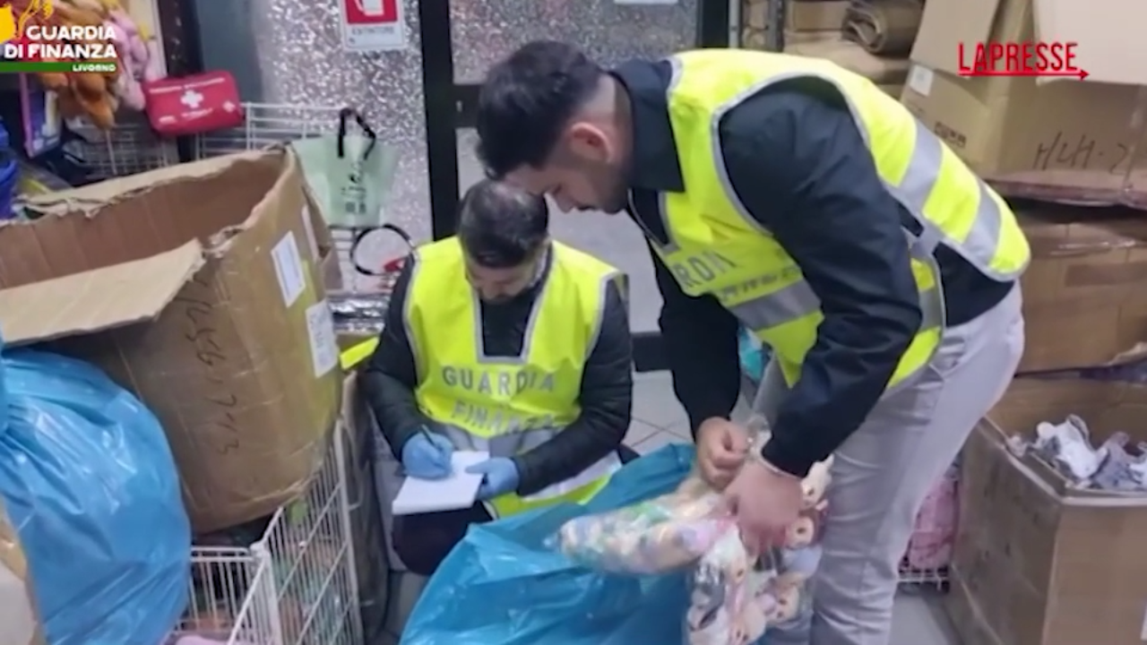 livorno labubu contraffatti le immagini del maxi sequestro a cecina e pisa