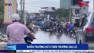 Vietnam, dopo il passaggio del tifone il Paese vuole rinascere: le operazioni di pulizia
