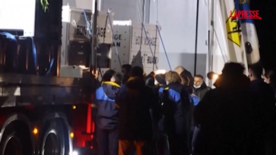 Francia, i due panda giganti tornano in Cina: il video