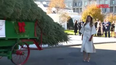 Melania Trump accoglie l’albero di Natale della Casa Bianca, il video