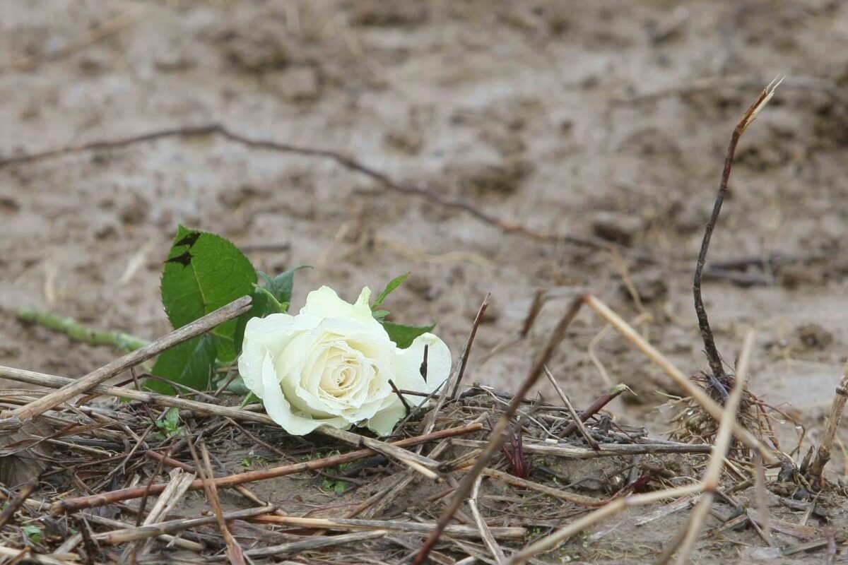 Yara Gambirasio, 15 anni fa la scomparsa della 13enne di Brembate: la storia in 10 foto Yara Gambirasio, 15 anni fa la scomparsa della 13enne di Brembate: la storia in 10 foto
