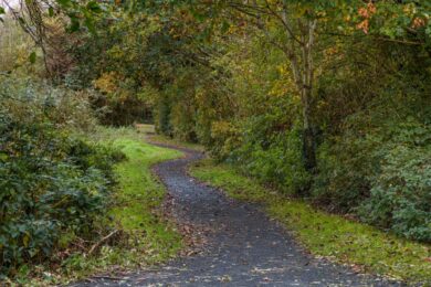 Famiglia nel bosco a Chieti, il legale rimette il mandato. Nordio: “Se profili disciplinari eserciterò i miei poteri”
