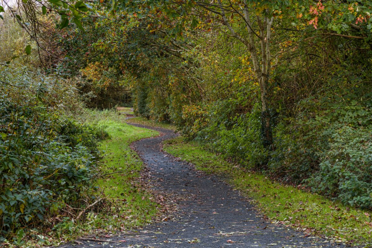Famiglia nel bosco a Chieti, il legale: “Rimetto il mandato”