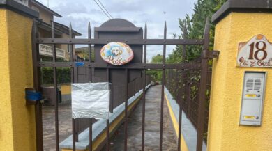 Neonati sepolti, a Parma l’udienza. L’amica di Chiara Petrolini: “Nel 2024 non aveva la pancia”