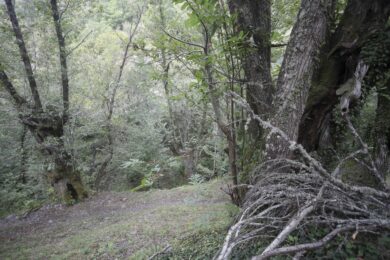 Famiglia nel bosco, genitori convocati giovedì dal Tribunale dei minorenni