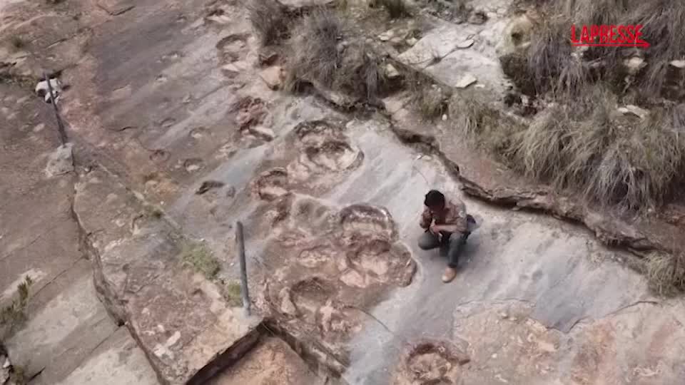 Bolivia, nel parco di Toro Toro il record di impronte di dinosauri: "Sito unico"