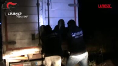 Aversa, sfruttamento lavoratori agricoli: arrestati imprenditore, moglie e collaboratori