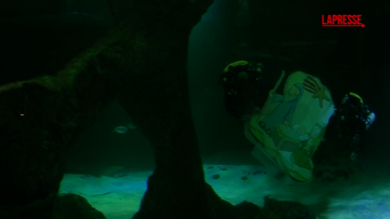 Natale, allo zoo di Madrid un presepe nella vasca degli squali