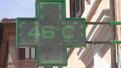 Tg Green 11 dicembre – Clima, economia circolare, rinnovabili al centro dell'attenzione