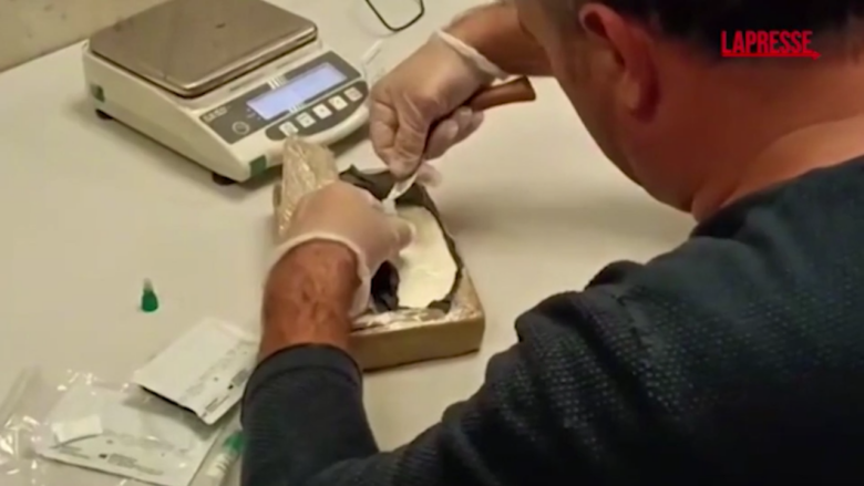 Maxi sequestro di cocaina purissima al porto di Civitavecchia: la droga vale 15 milioni di euro