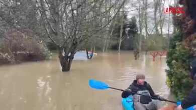 Alluvioni Washington, il momento del salvataggio di alcune galline in un pollaio allagato