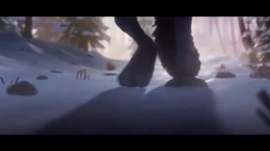 Francia, lupo diventa vegano: lo spot di Intermarché commuove i francesi ed è virale in tutto il mondo