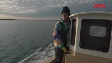 La storia di Sue Wicks, da campionessa Wnba ad allevatrice di ostriche