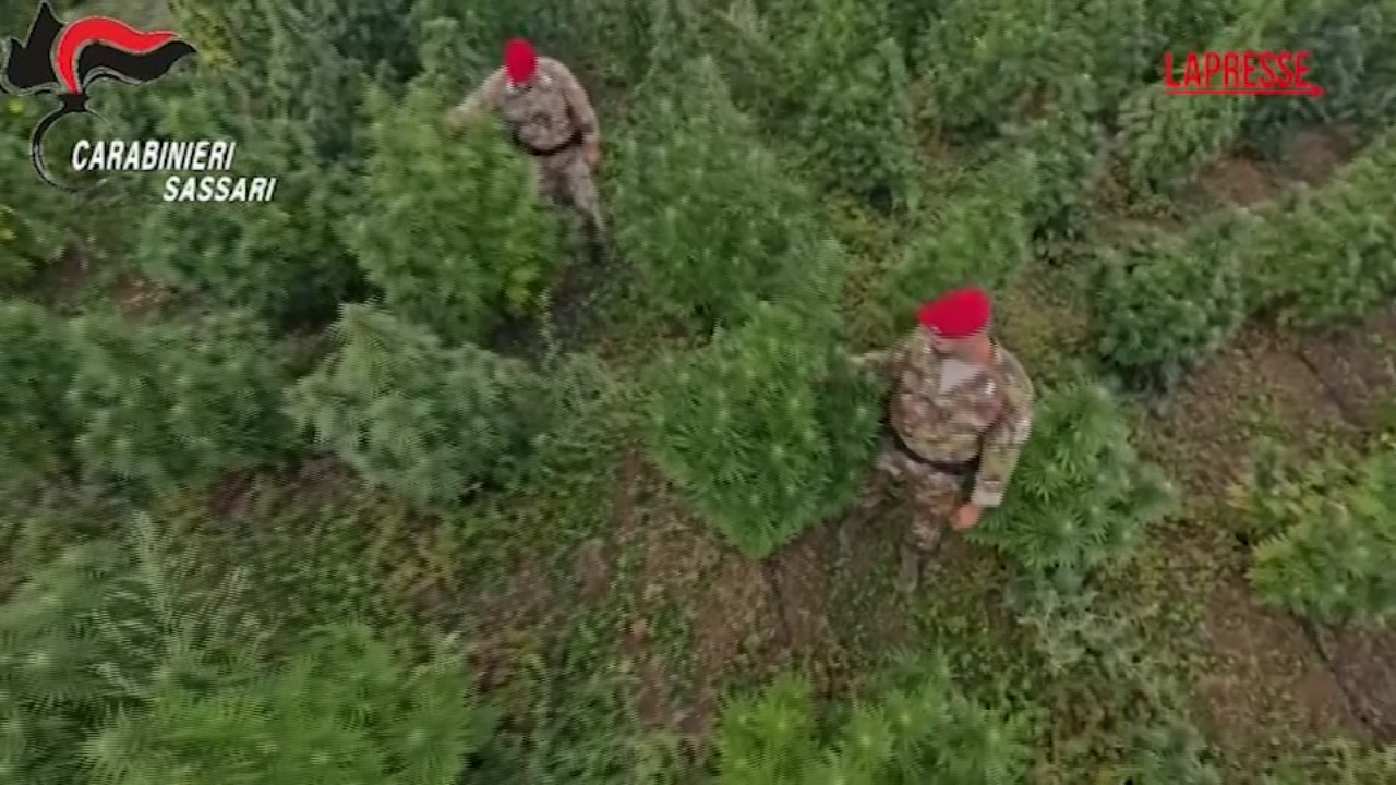 Olbia, operazione antidroga tra la Sardegna e la penisola: 22 misure cautelari