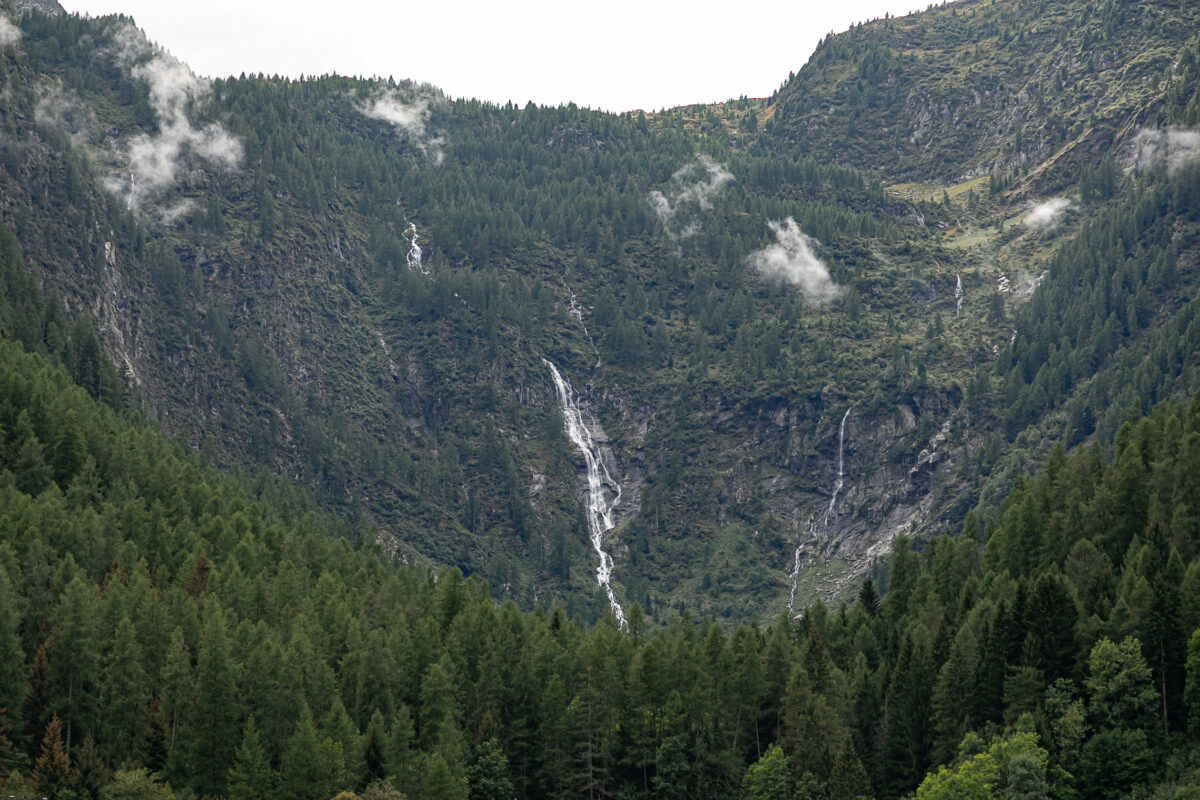 Orme di dinosauri nel parco dello Stelvio: la scoperta legata a Milano Cortina 2026 Orme di dinosauri nel parco dello Stelvio: la scoperta legata a Milano Cortina 2026