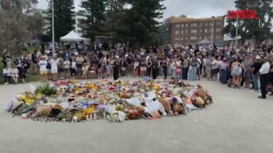 Sydney, attentato a Bondi Beach: fiori per omaggiare le vittime