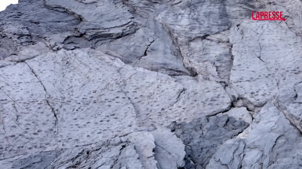 orme di dinosauri nel parco dello stelvio il paleontologo i pi249 grandi raggiungevano i 10 metri da Lapresse.it orme di dinosauri nel parco dello stelvio il paleontologo i pi249 grandi raggiungevano i 10 metri
