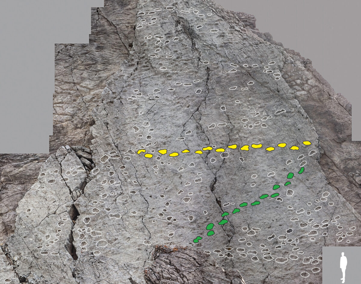 Galleria foto 'Orme di dinosauro scoperte sullo Stelvio. Fontana: “Dono inatteso in vista di Milano-Cortina 2026”' - foto 2