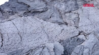 Orme di dinosauri nel Parco dello Stelvio, Fontana: "Regalo della storia alle Olimpiadi"