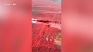 Iran, il mare e le spiagge si tingono di rosso sangue: lo straordinario fenomeno