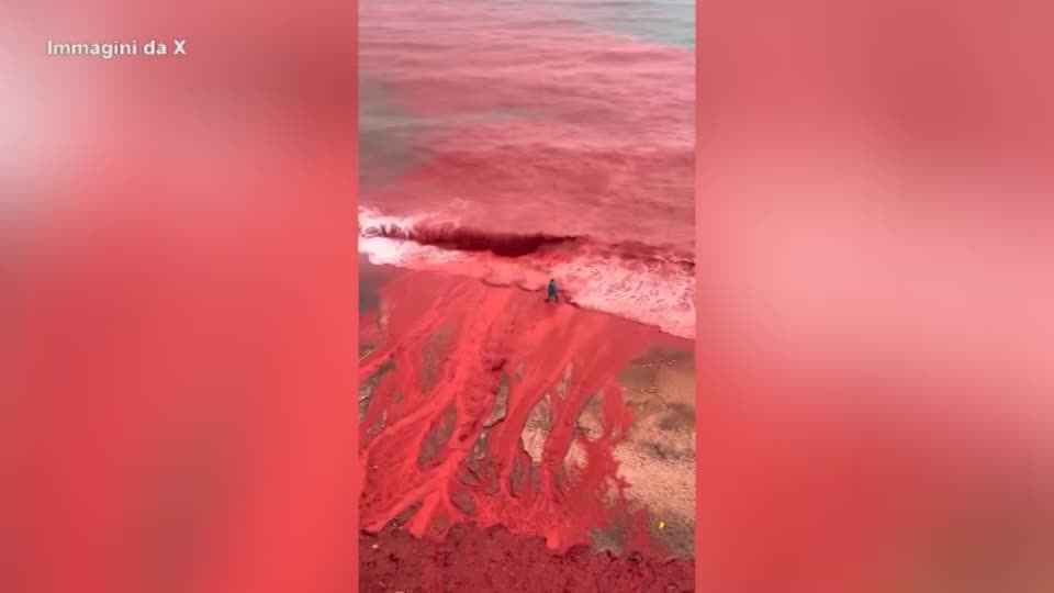 iran il mare e le spiagge si tingono di rosso sangue lo straordinario fenomeno da Lapresse.it iran il mare e le spiagge si tingono di rosso sangue lo straordinario fenomeno