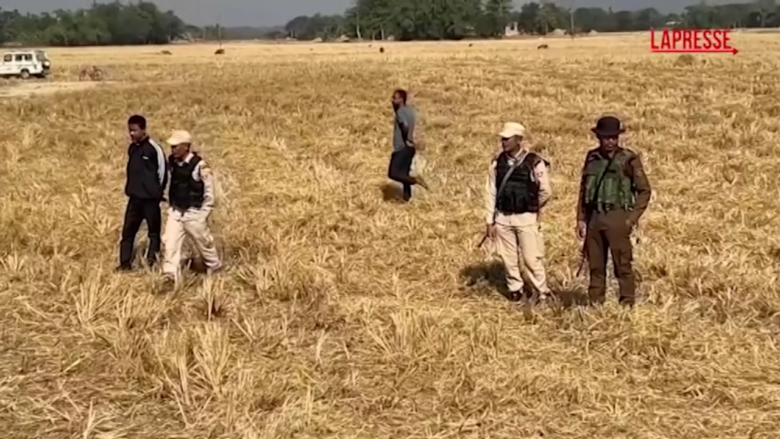 India, treno alta velocità uccide 7 elefanti che stavano attraversando i binari