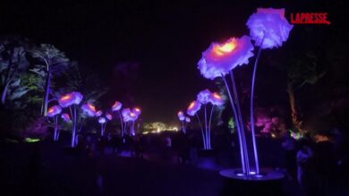 San Francisco, le installazioni artistiche “Lightscape” al Golden Gate Park