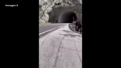 Vince Zampella: si schianta con la Ferrari e muore il creatore di ‘Call of Duty’. Le immagini dell’incidente