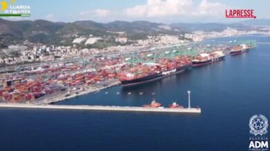 Genova, sequestrate 85.000 confezioni di noodles irregolari per frode alimentare